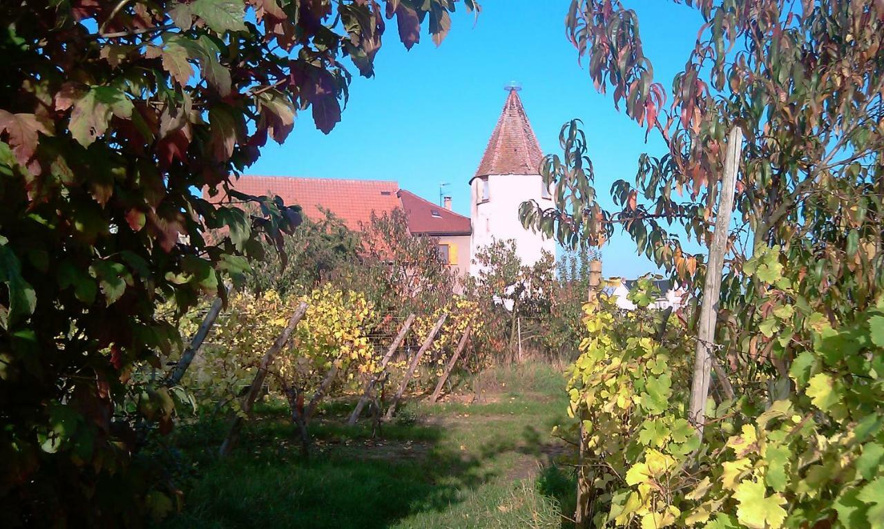 Les Gites De La Tour, Appartement "La Plaine" Saint-Hippolyte  Exterior foto